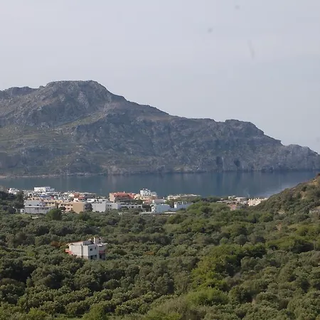 Panorama *